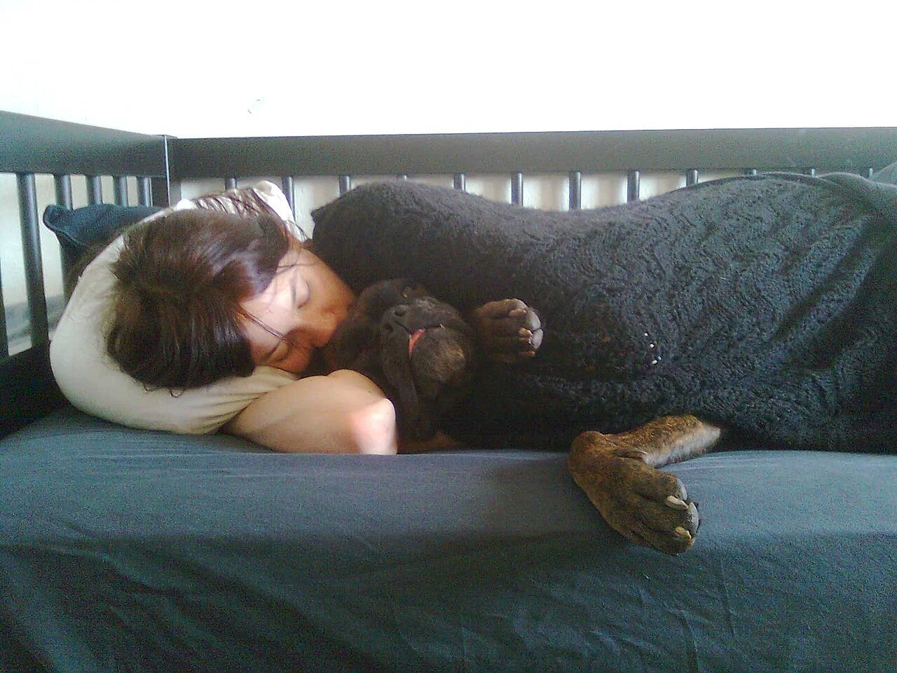 A woman sleeping soundly on a bed with a dog
